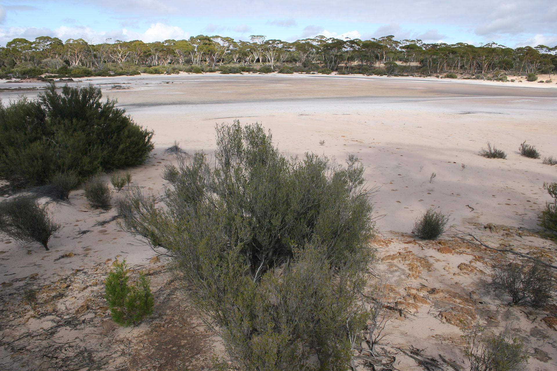 One of the dry lakes.