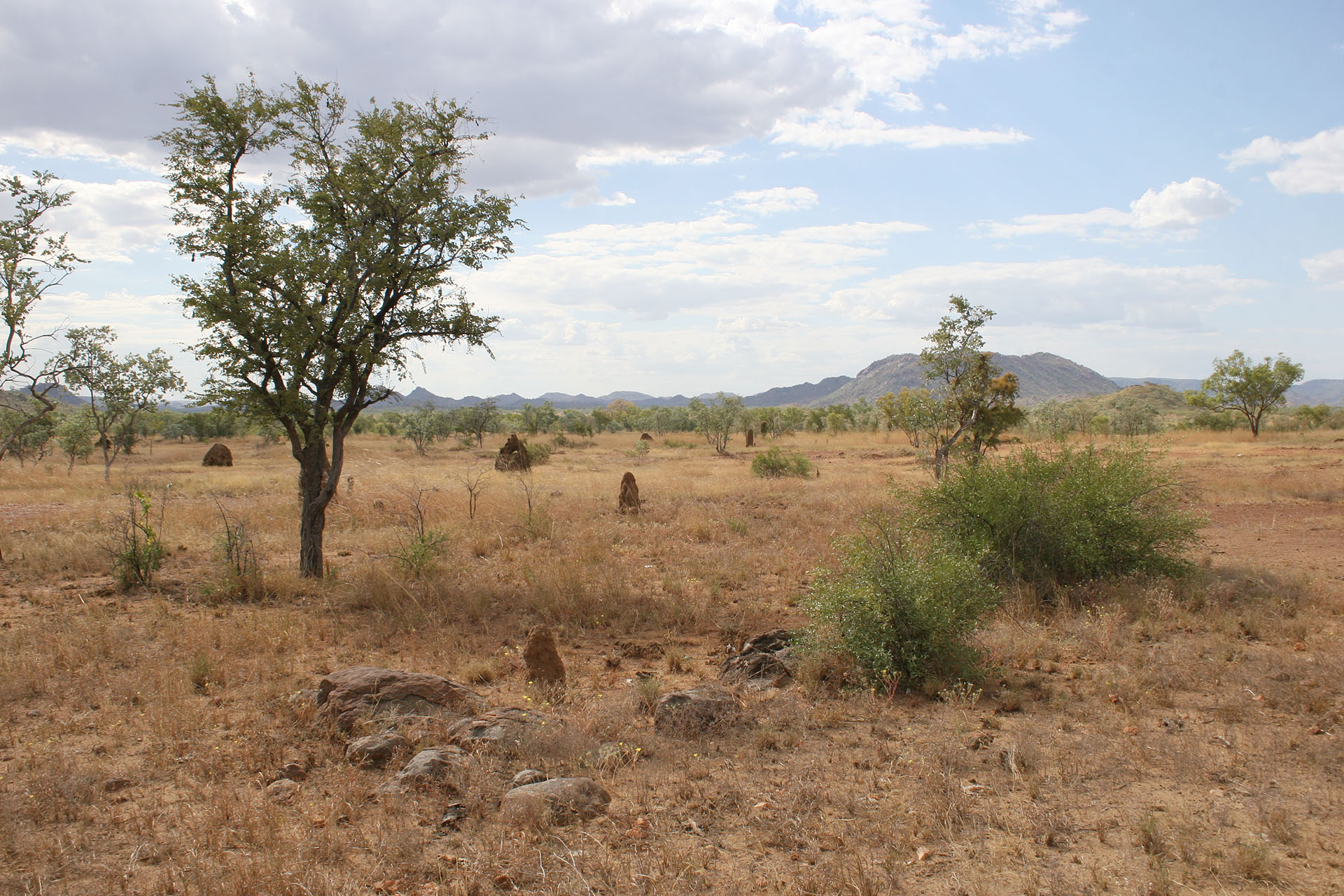 A typical Kimberley landscape.