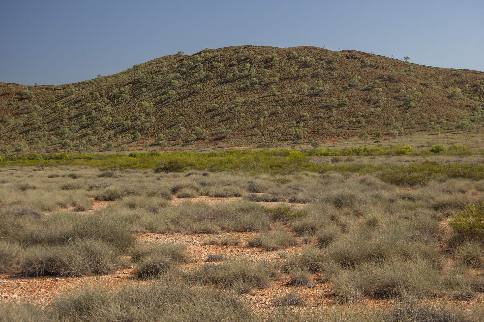 Hills, trees, spinifex.