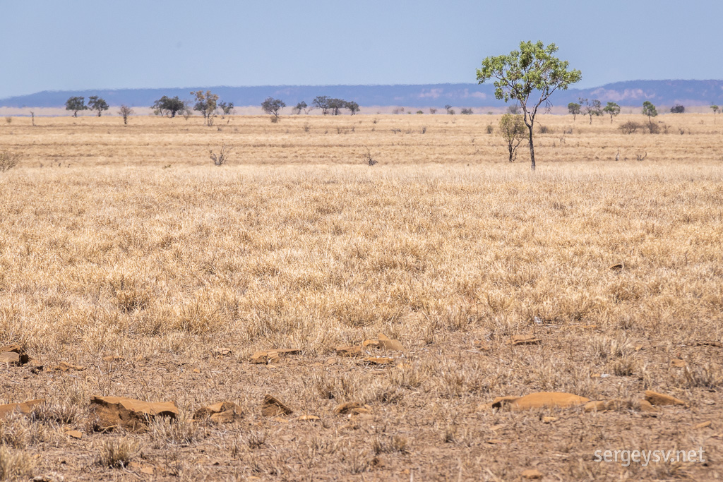 The outback Queensland.