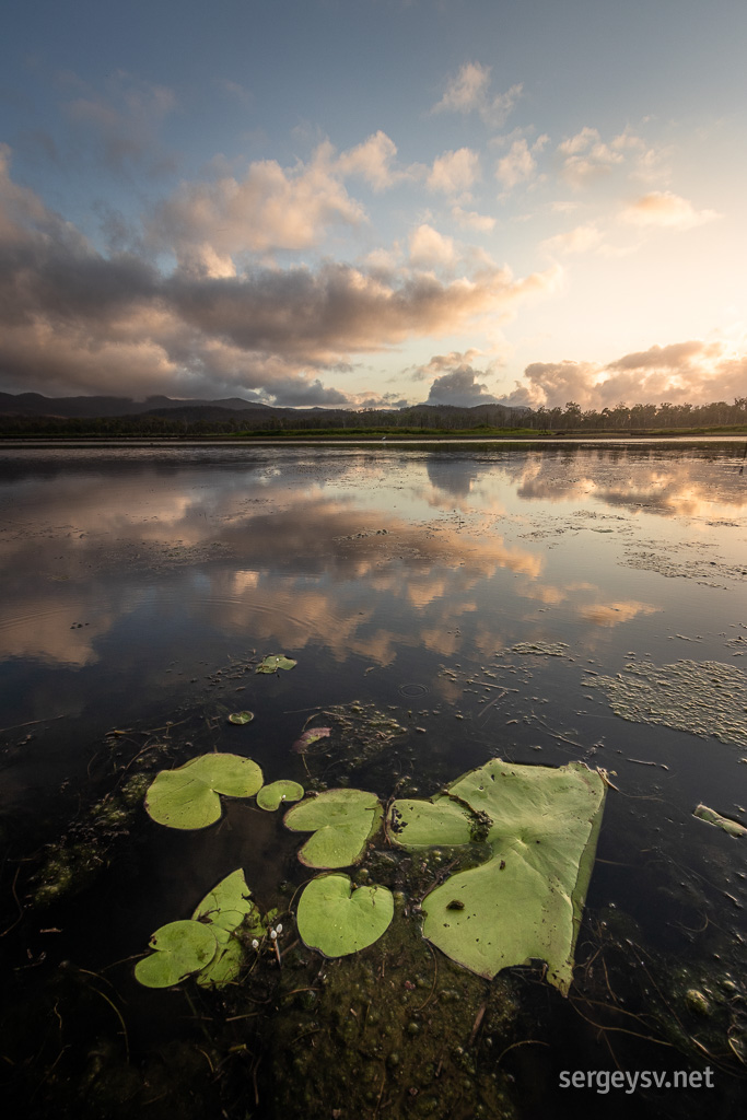 Love the reflections.