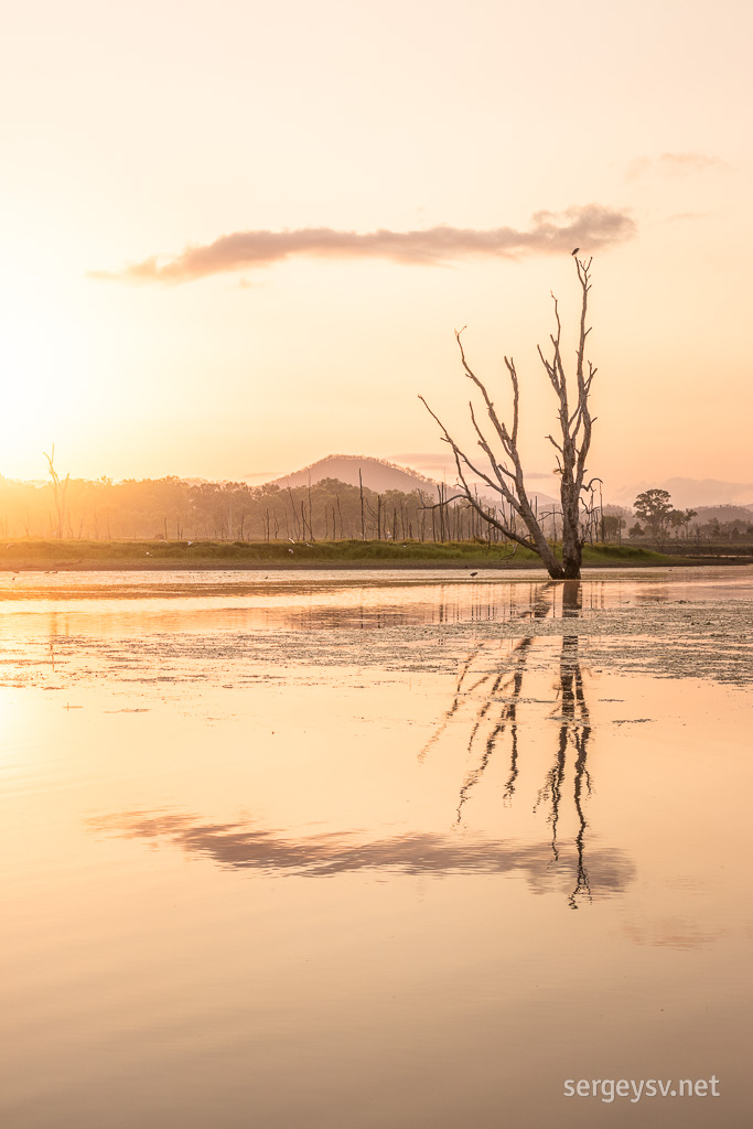 More reflective beauty!