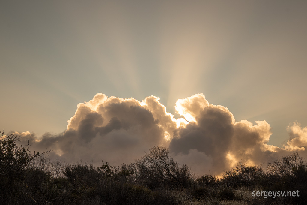 Sunbeams! Love sunbeams.