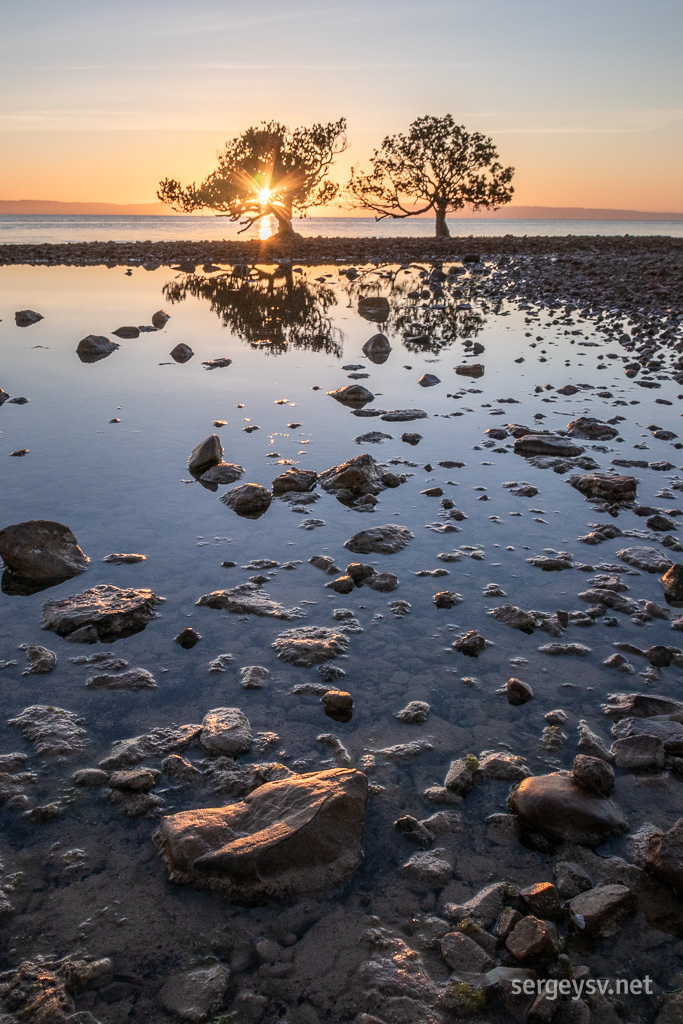 The trees and the rocks.