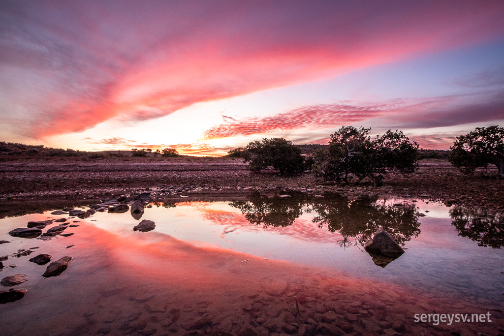 The mangroves look perfect.