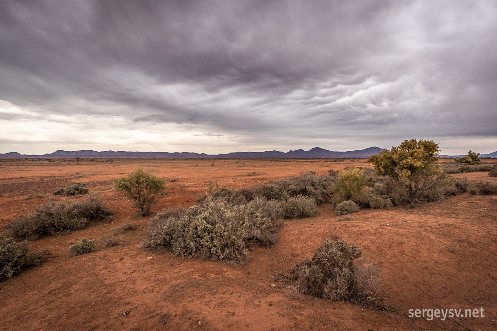 Always love the dry bush.