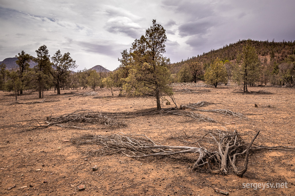 The scenery of the Flinders Ranges.