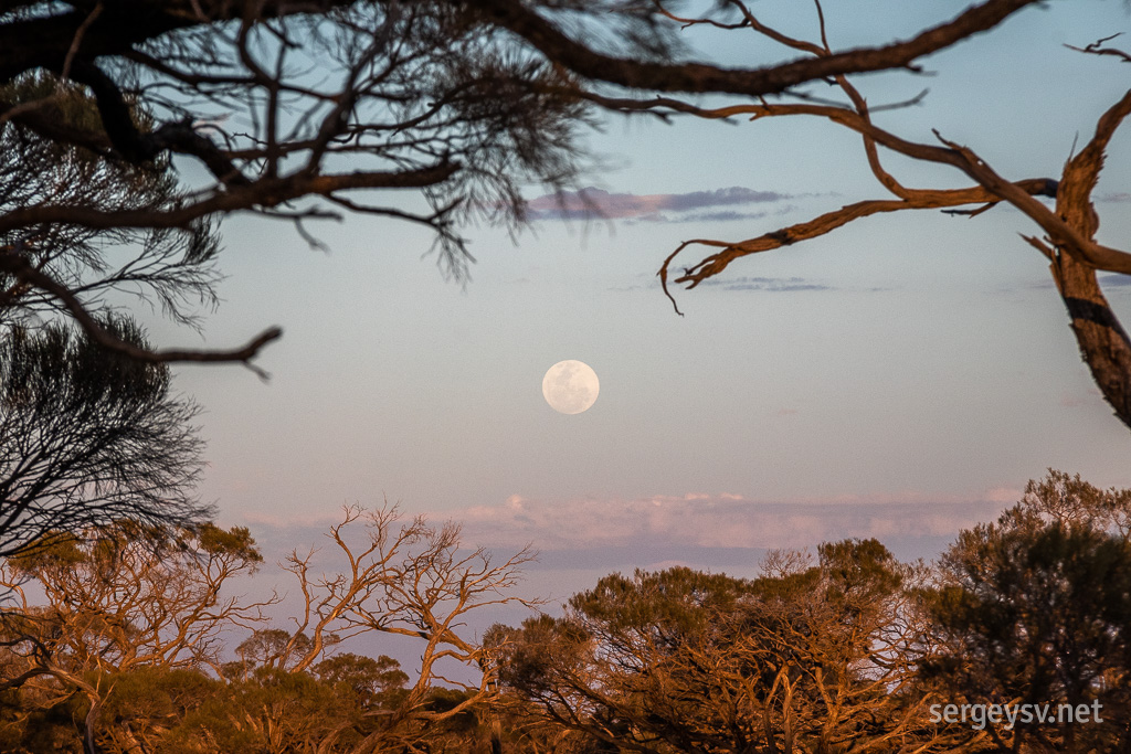 A frame for the moon.