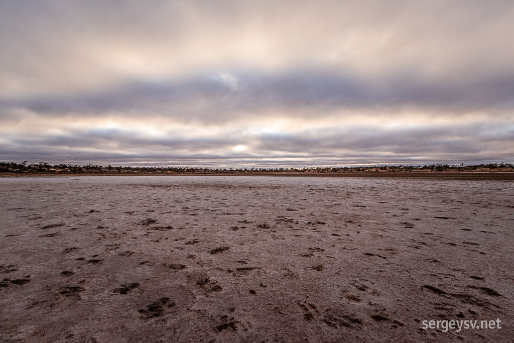 The salt lake up close.