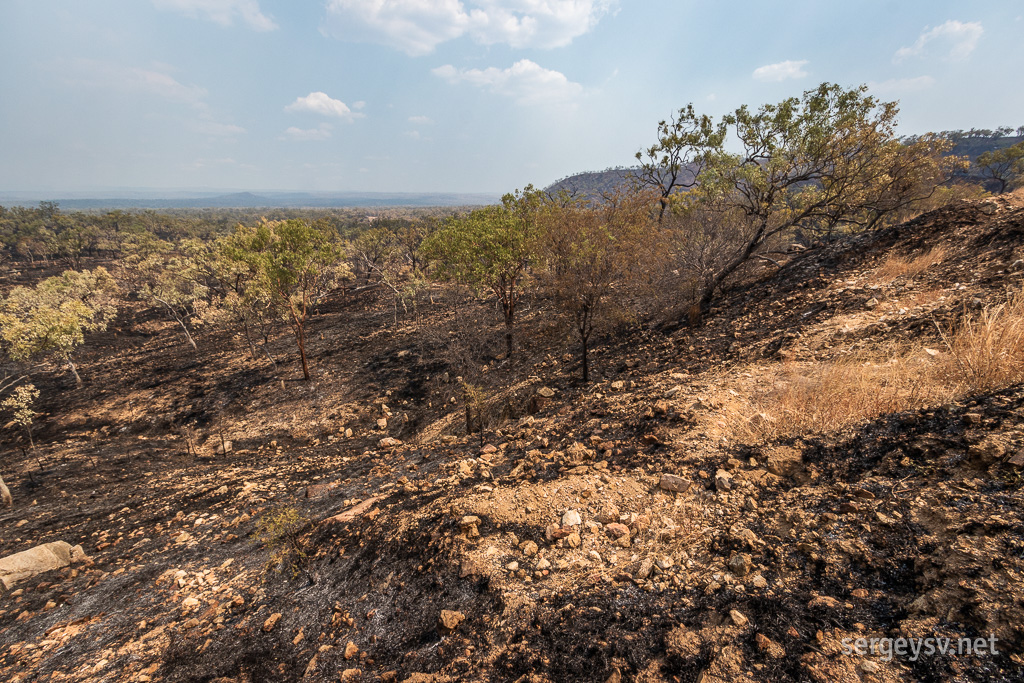 Burnt-out country near Georgetown.