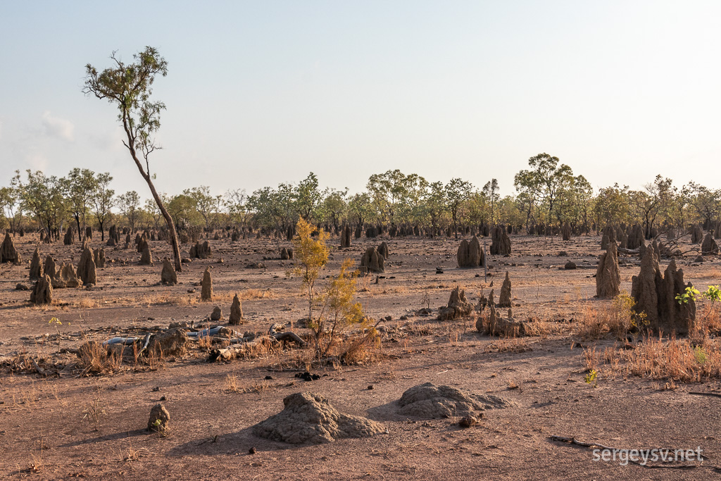 The land of the termite.