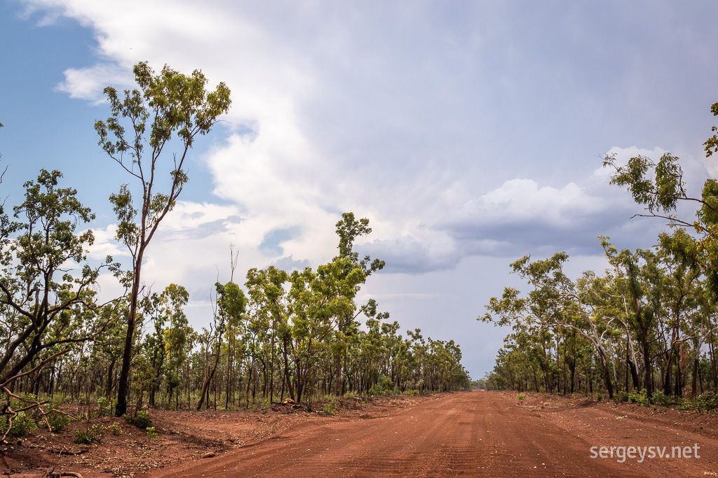 The road gets bumpier, the trees get greener.