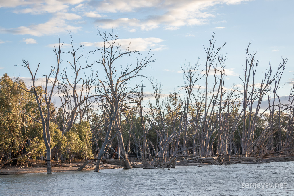 On the Murrumbidgee River.