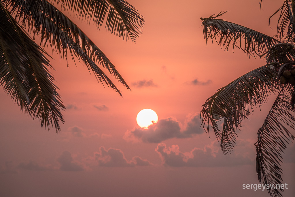 A “beach paradise” mood.