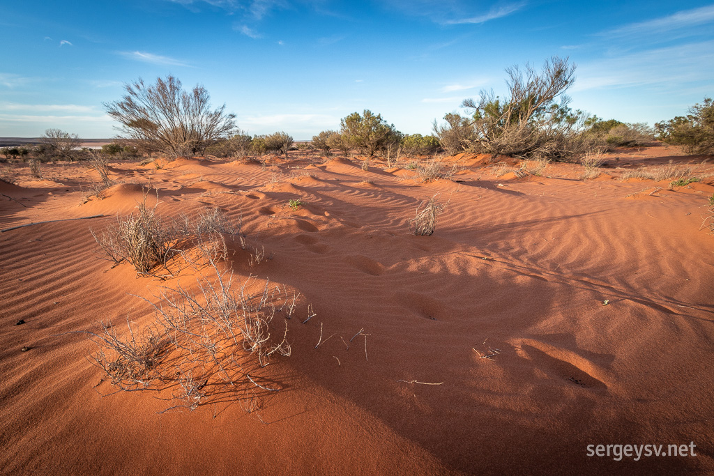 Desert vibes.