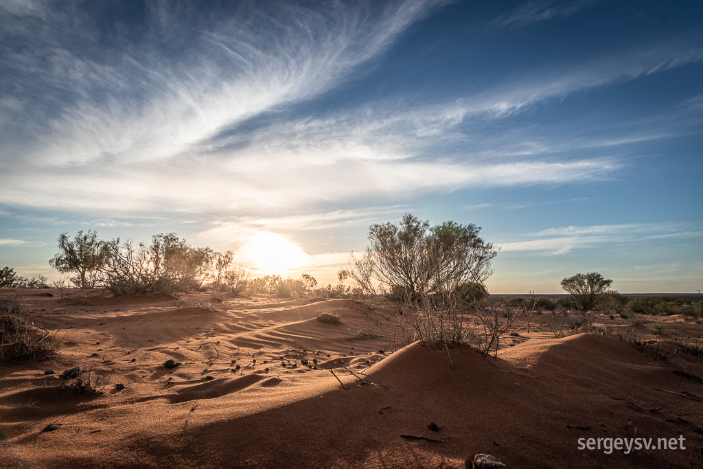 More desert vibes!