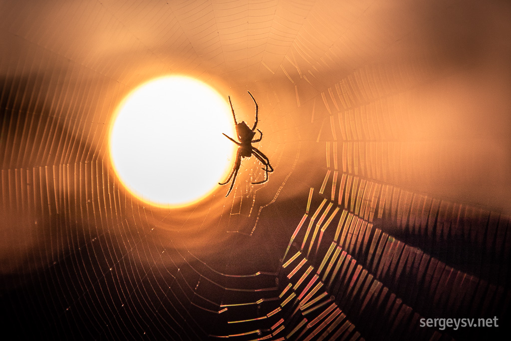 Straddling the sun.