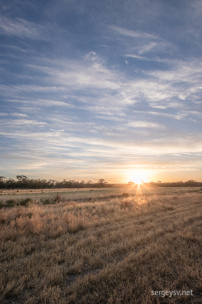 The morning doesn't look too bad in the fields, either.