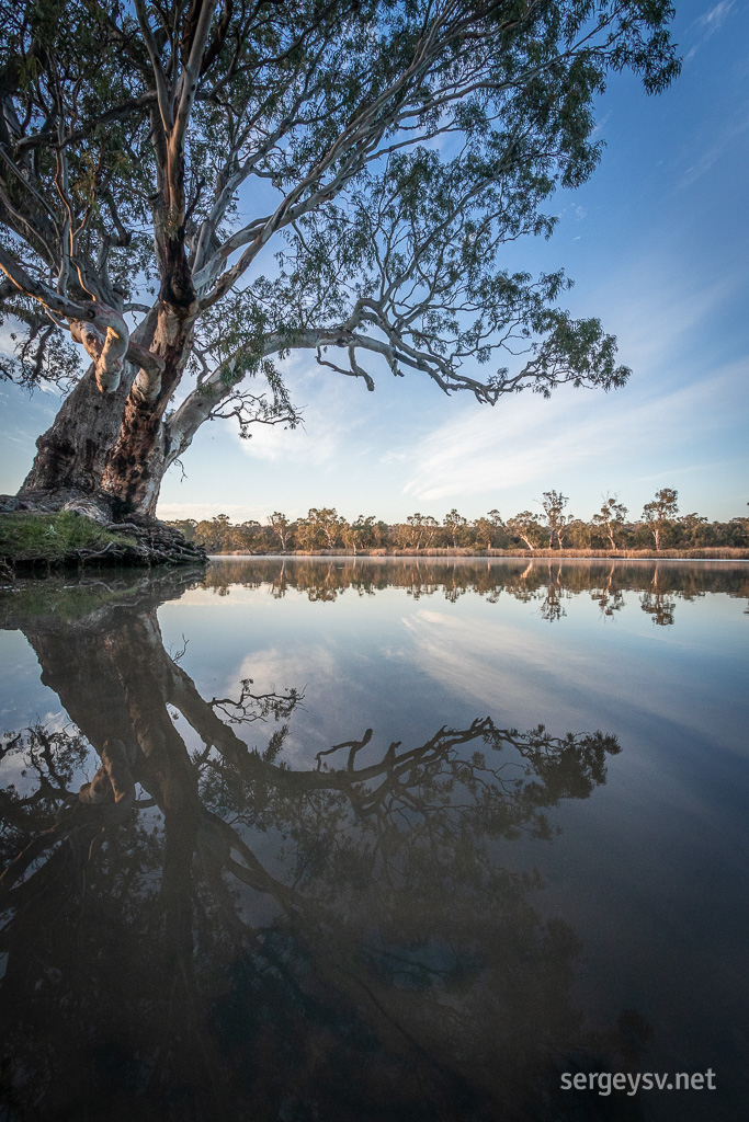 Nice reflections!