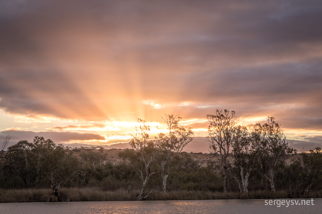 Sunbeams! More sunbeams!