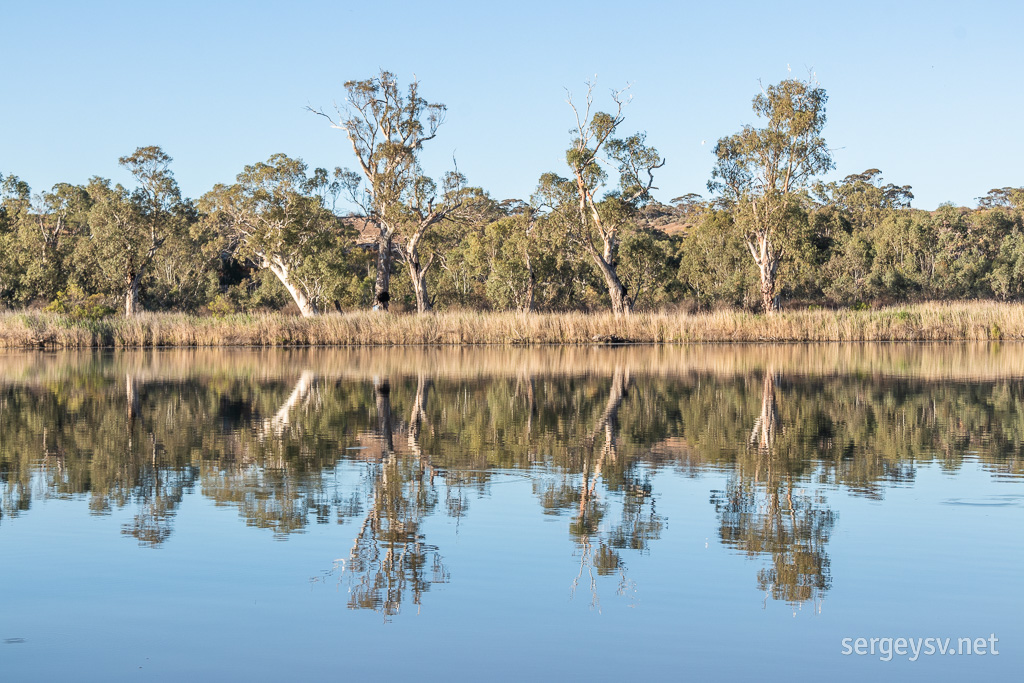 More reflections.