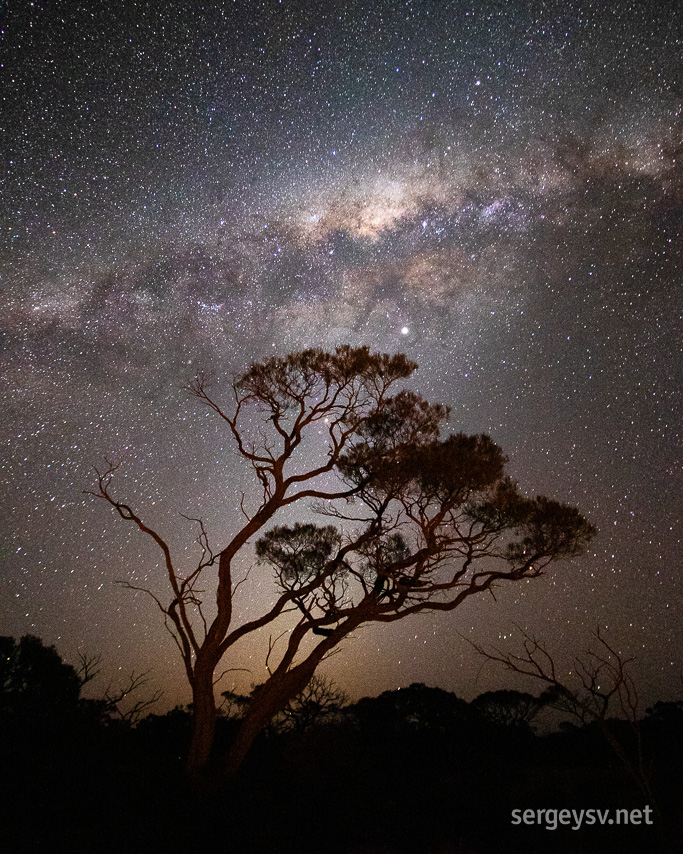 Saying hello to the stars.