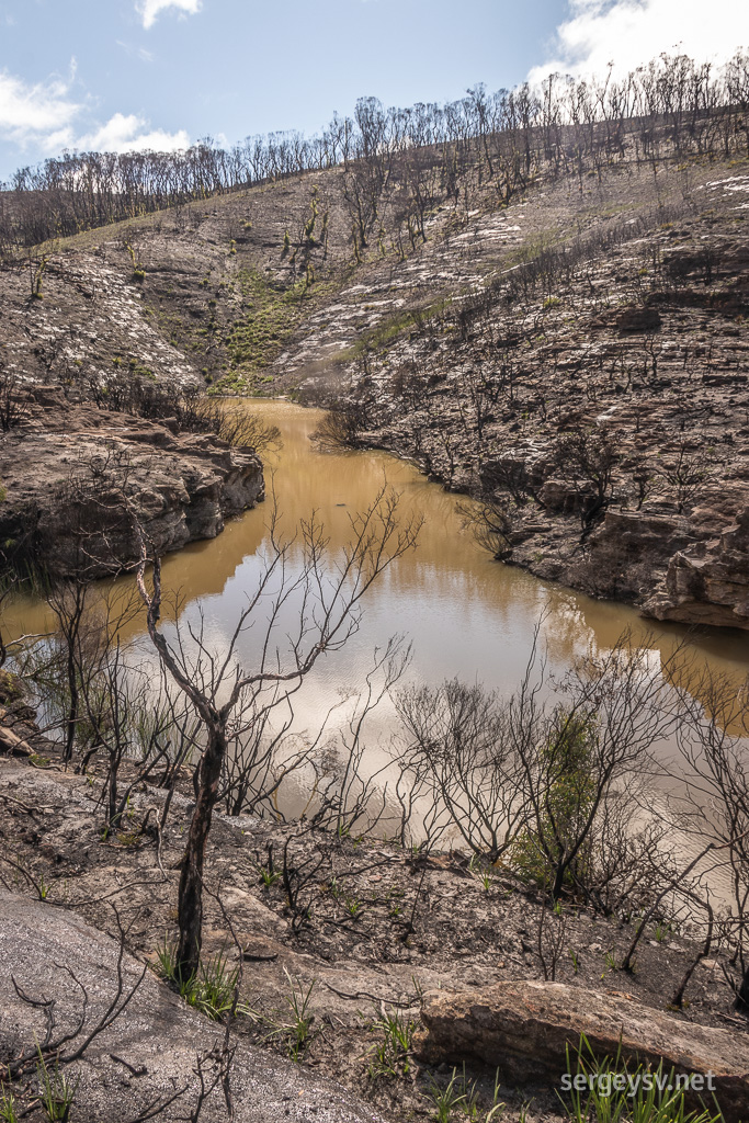 The area looks both desolate and full of life.