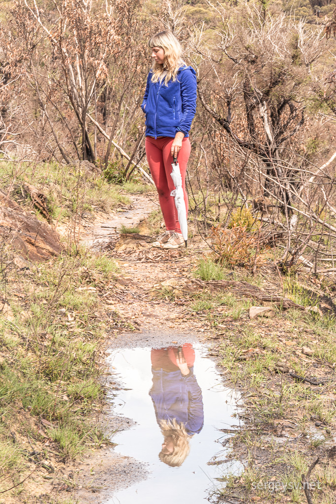 Maisie is reflecting.