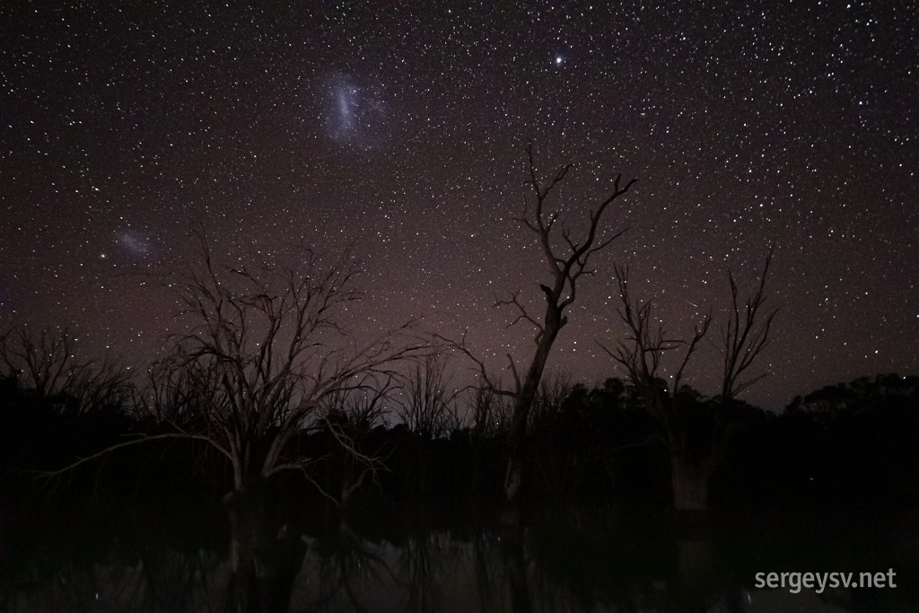 Magellanic Clouds.