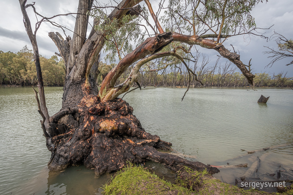 Hello, Murrumbidgee.