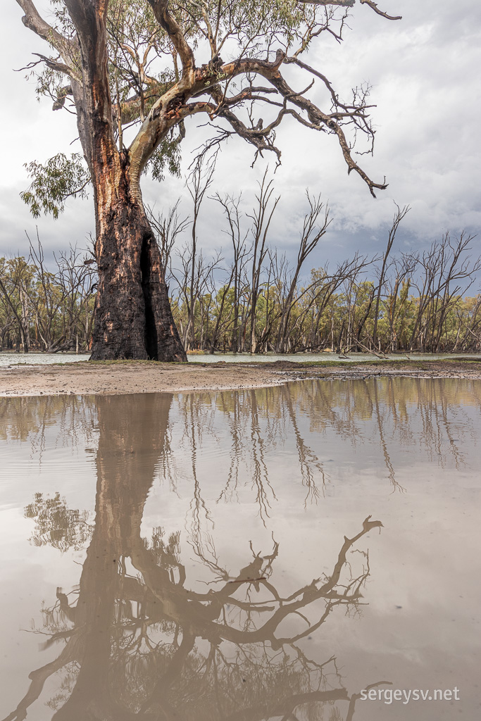 Reflections in puddles.