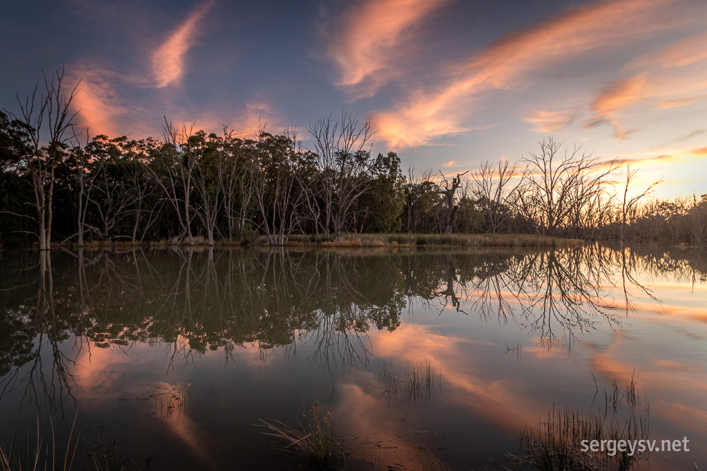 Perfect stillness.