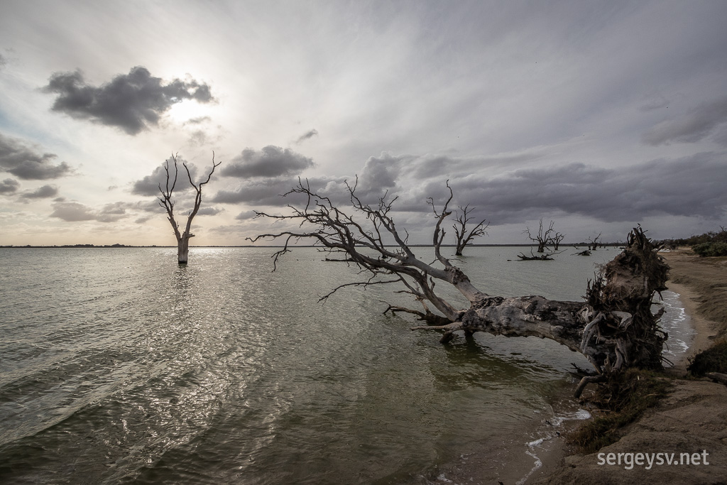 The lake's quite restless.