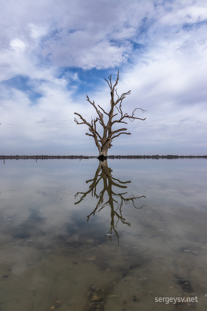 The lake is <i>very</i> still.