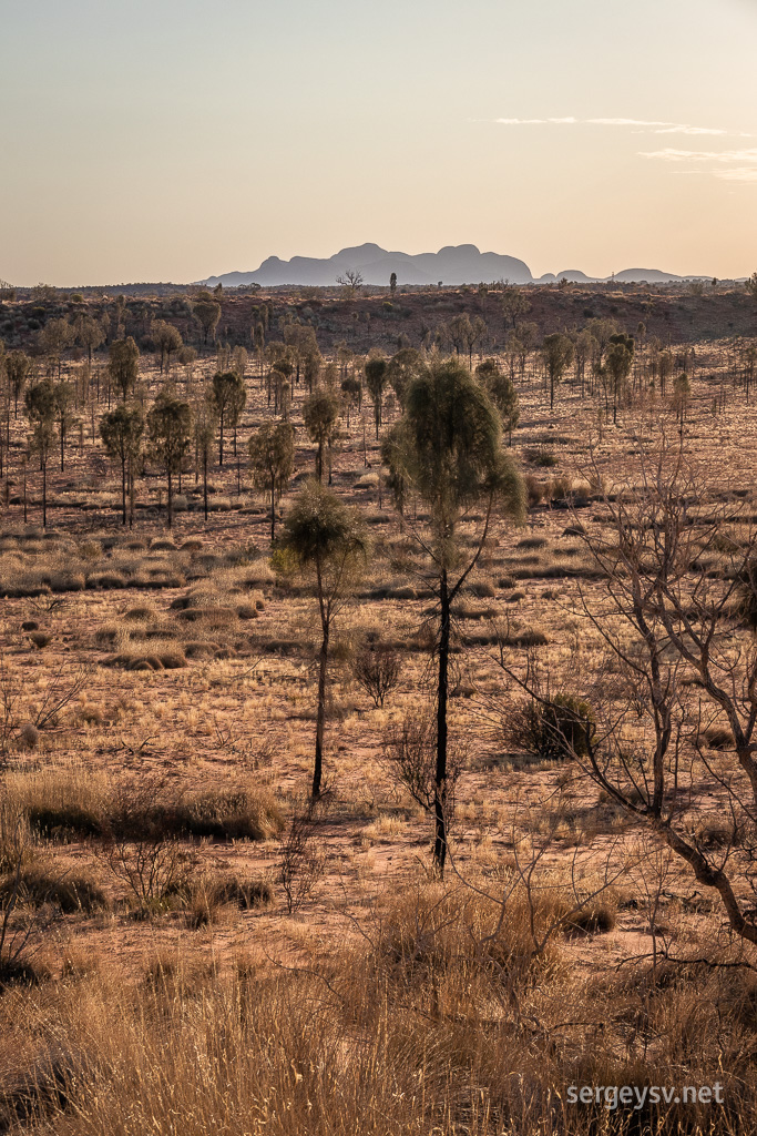 Kata Tjuta in the distance.