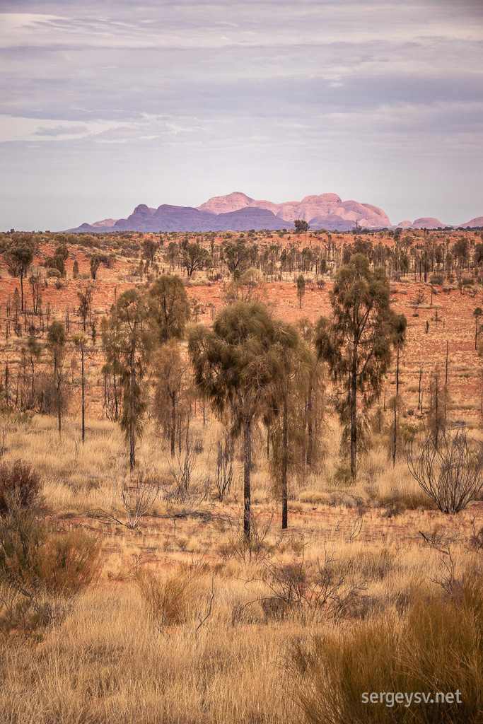 Kata Tjuta once again.