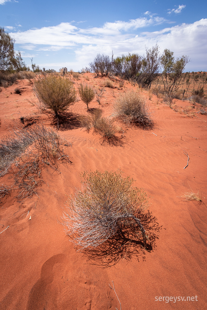 All this red sand. So beautiful.