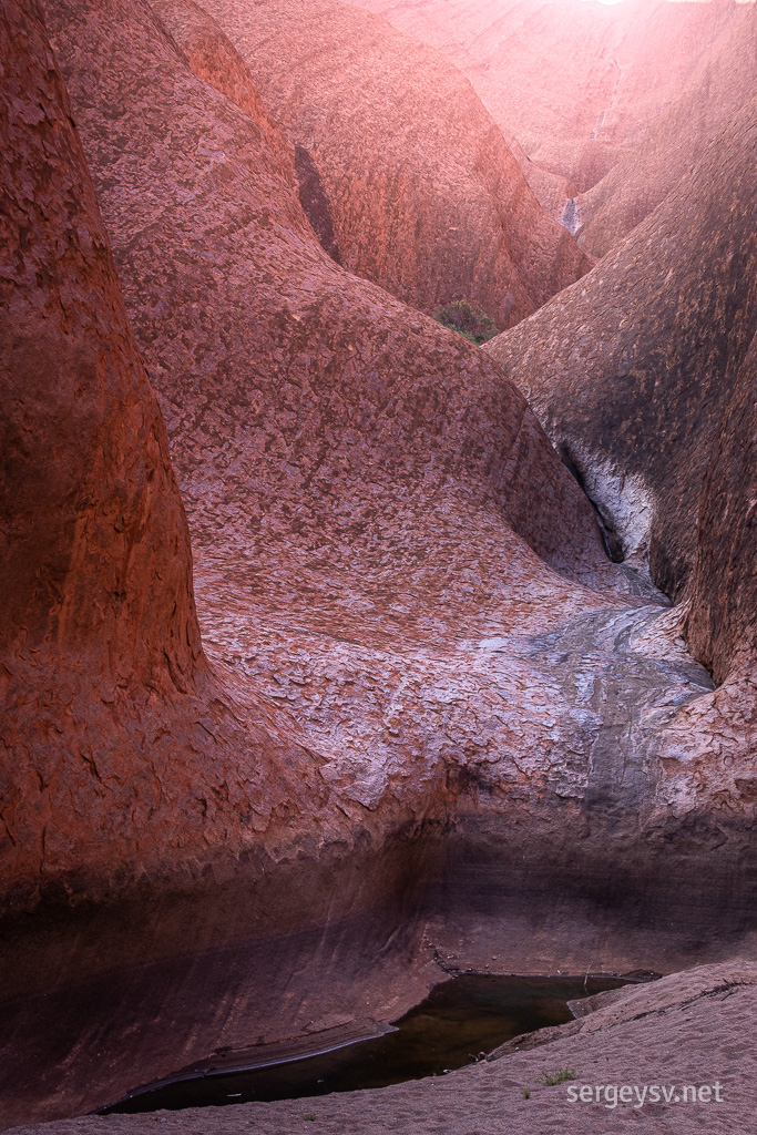 At the Waterhole (with barely any water).