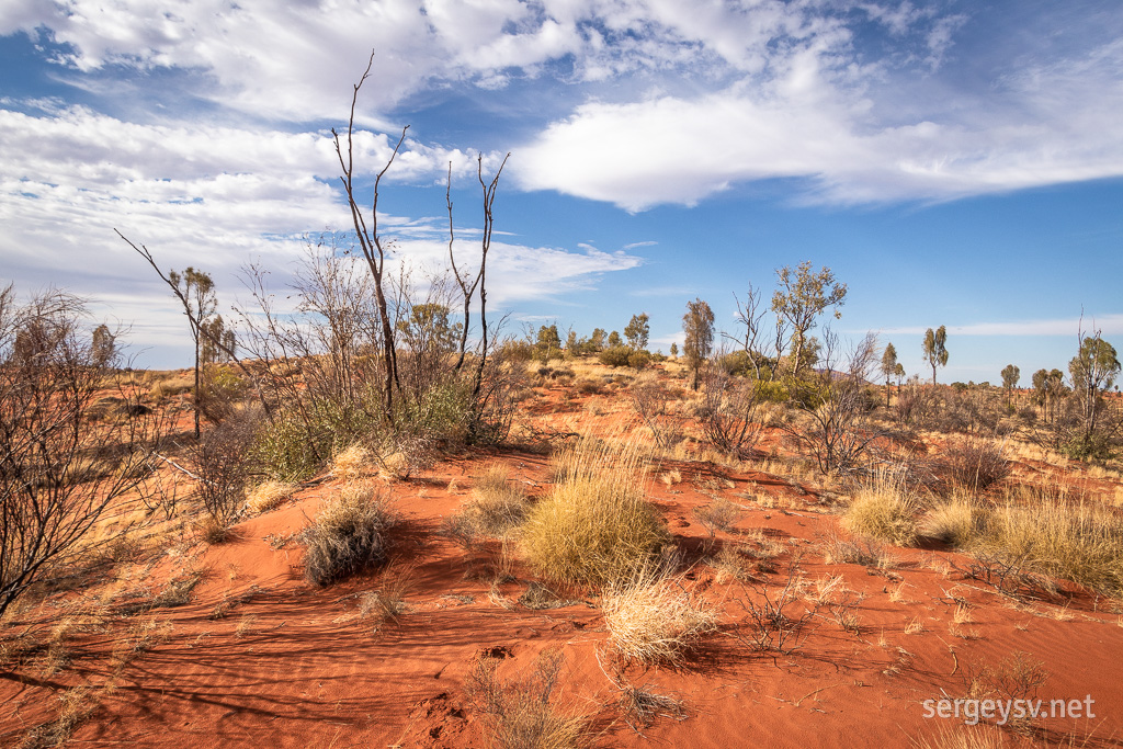 Another little desertscape.