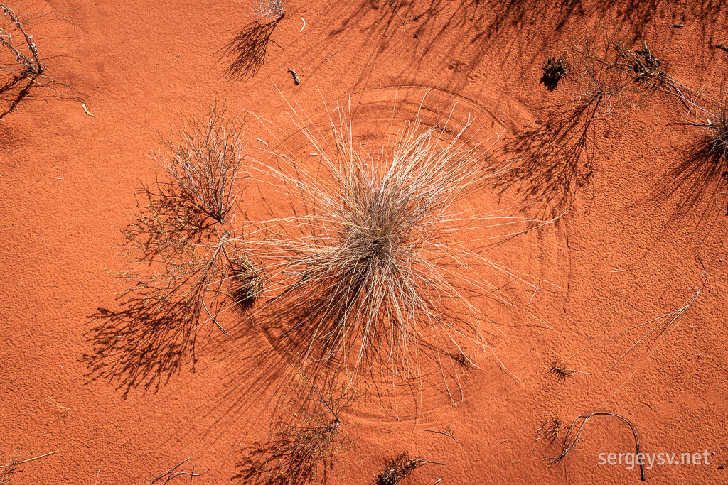 More cute wind grooves by spinifex.