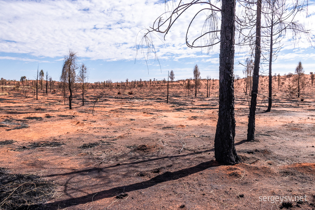 Burnt-out desert.