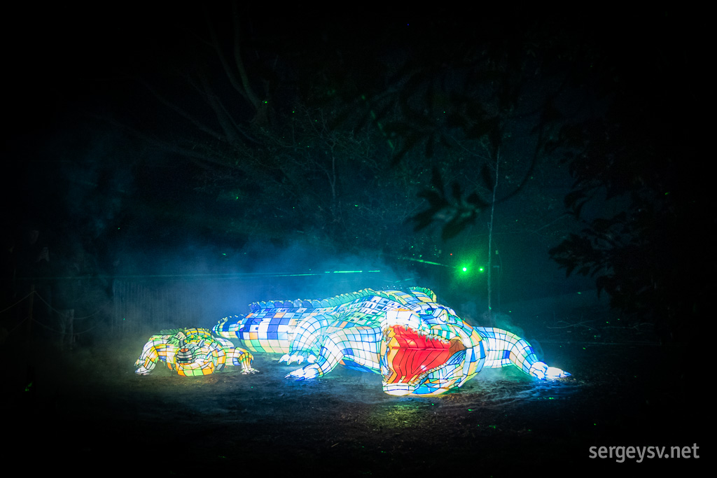 Disco crocodiles.