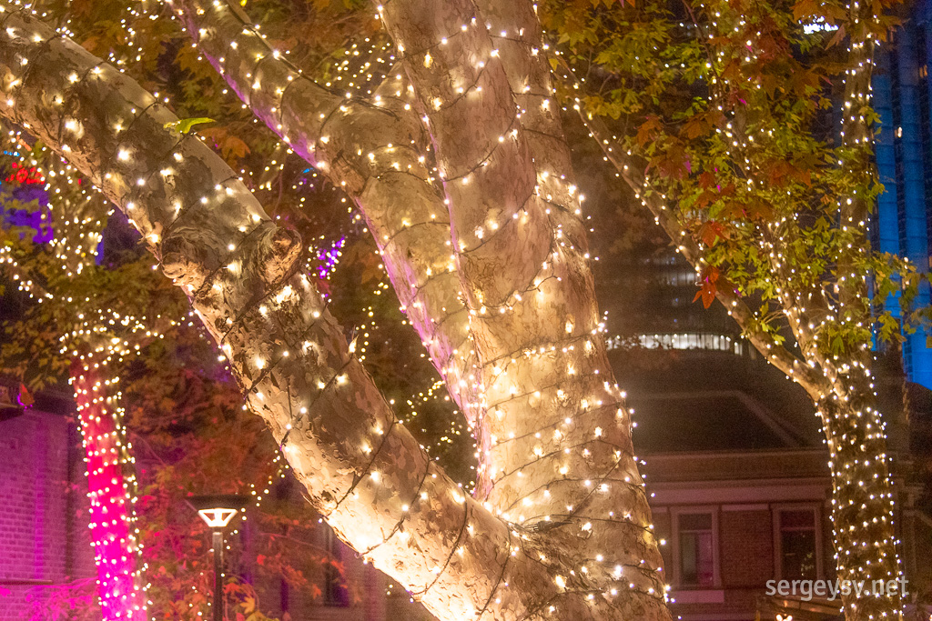 The trees are also decorated, of course.