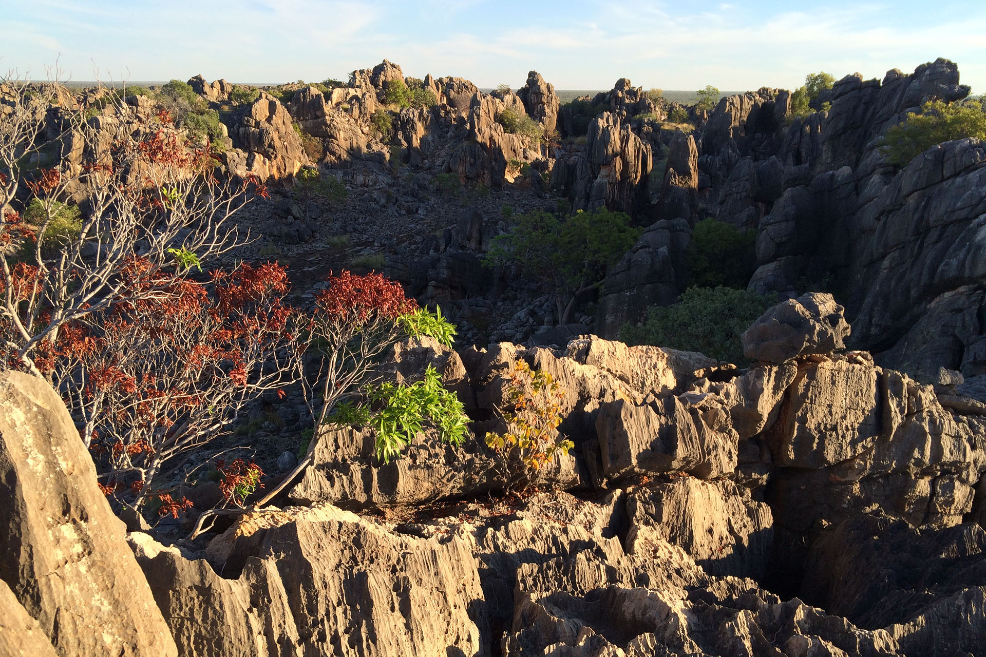 Jagged landscape.