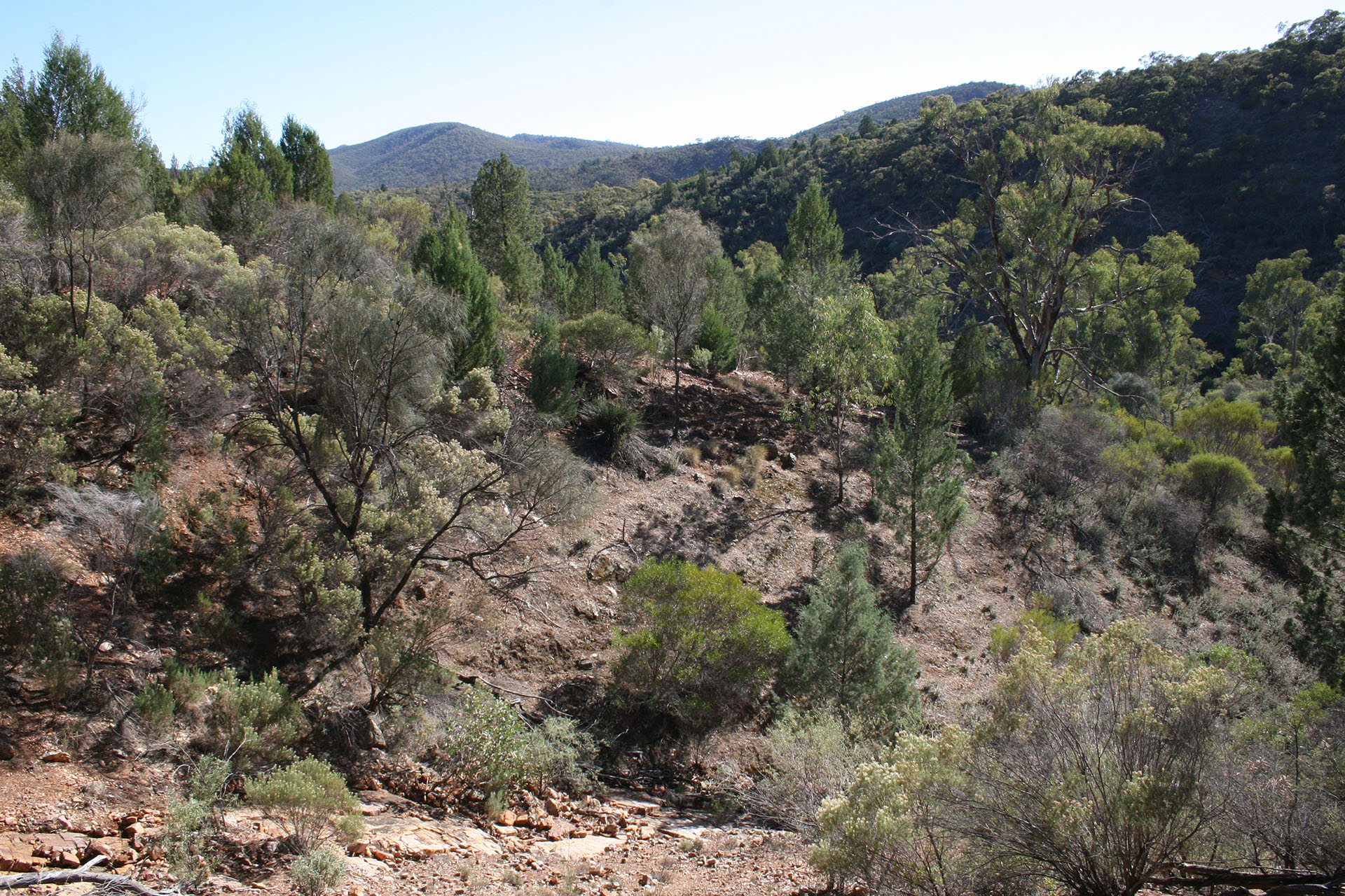 Mount Remarkable National Park.