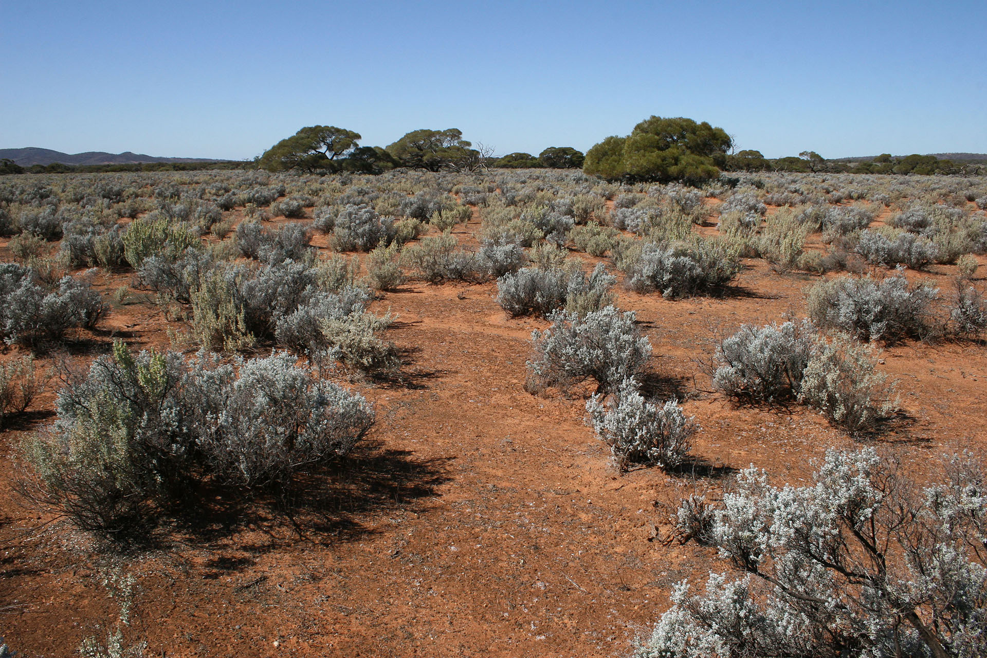 So far the Eyre Peninsula doesn't look too hospitable.