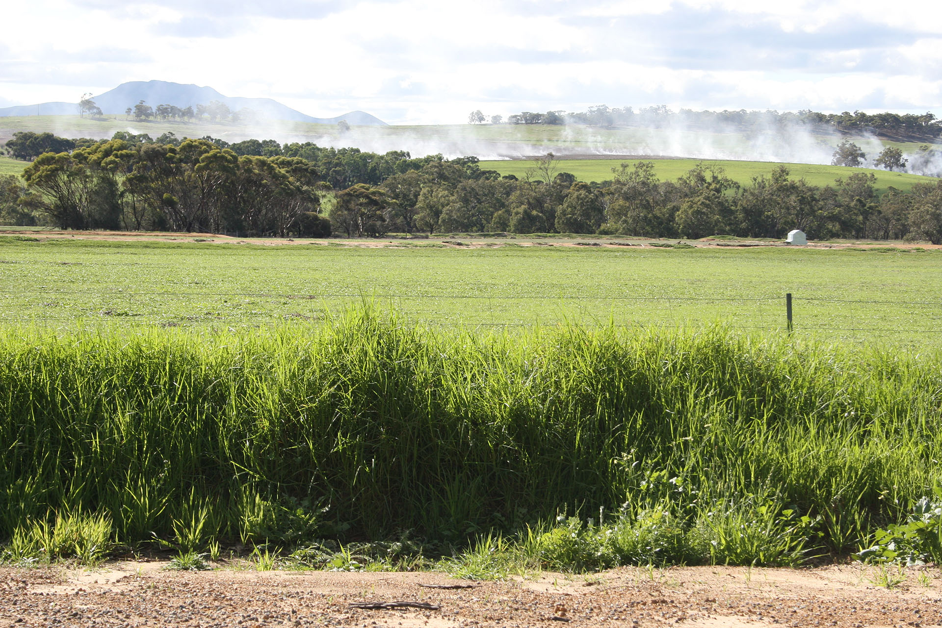 Fields and the supposedly controlled burnings.