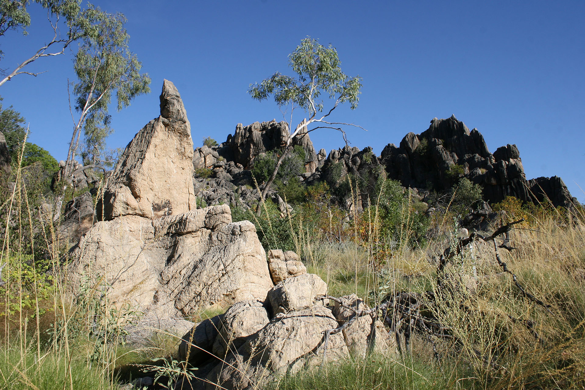 Once-underwater limestone reefs of Devonian.