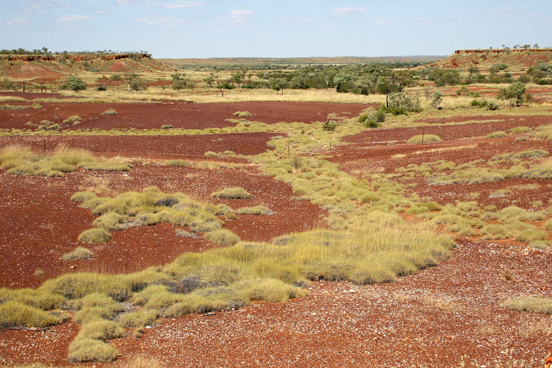 A floodplain.