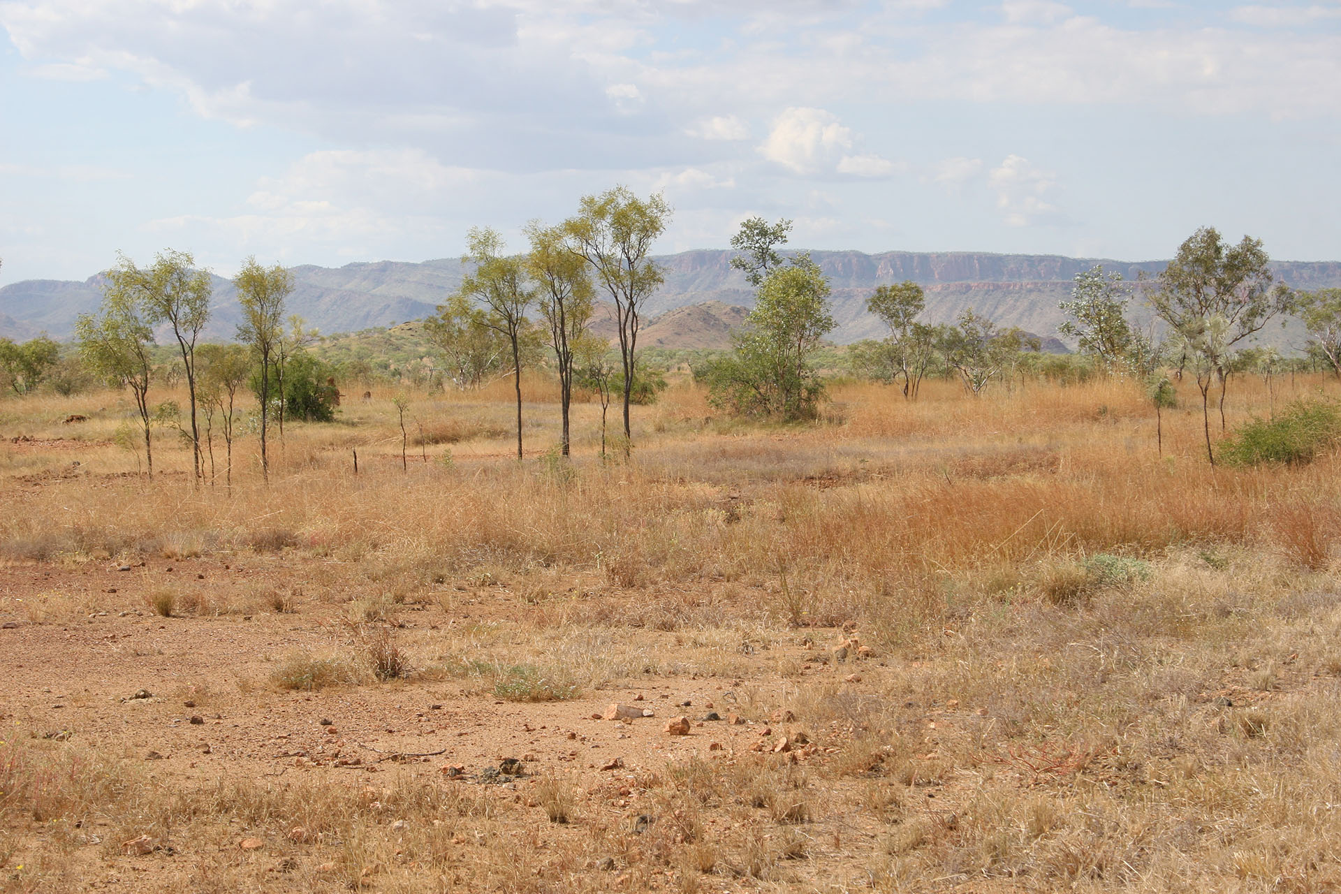 The faraway ranges.